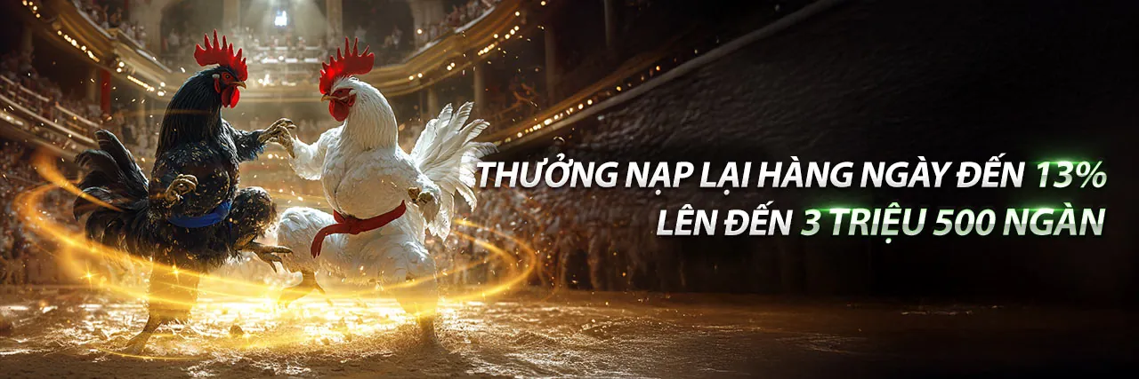 Hình ảnh đấu trường đá gà trực tiếp bình luận viên sôi động tại Vua Bài